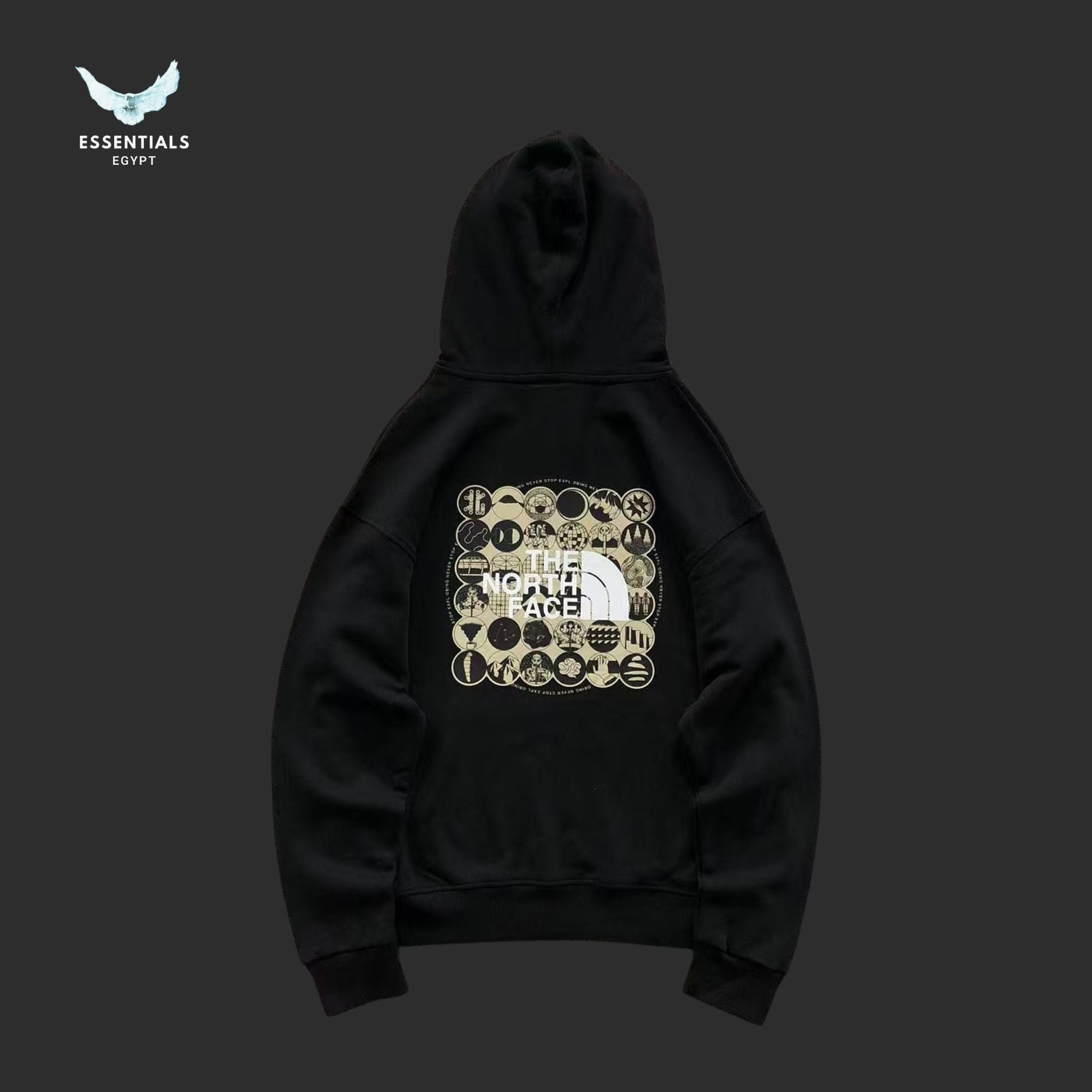The North Face Graphic Hoodie – Icon Back Print - ESSENTIALS EGYPT