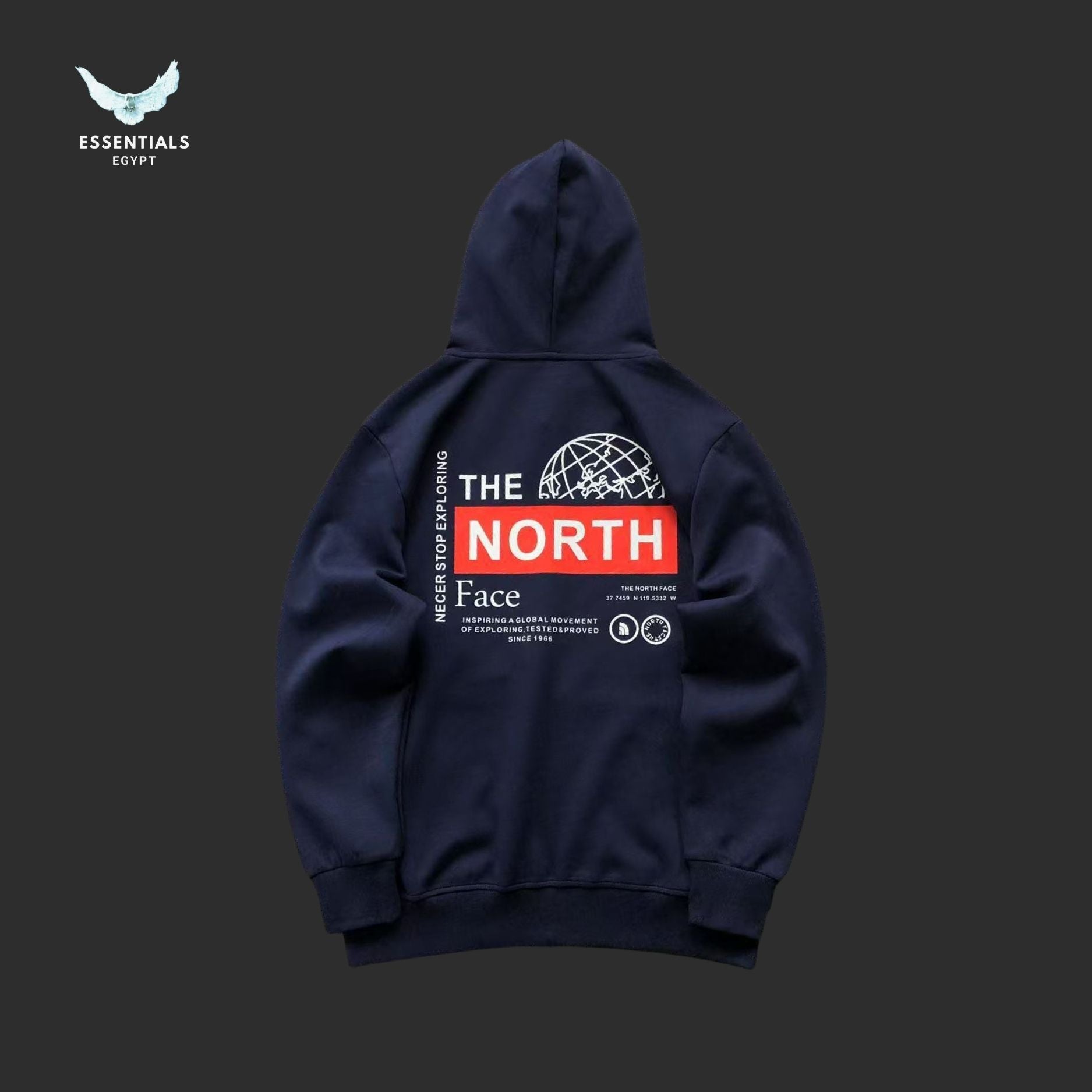 TNF HOODIE 218050901 - ESSENTIALS EGYPT