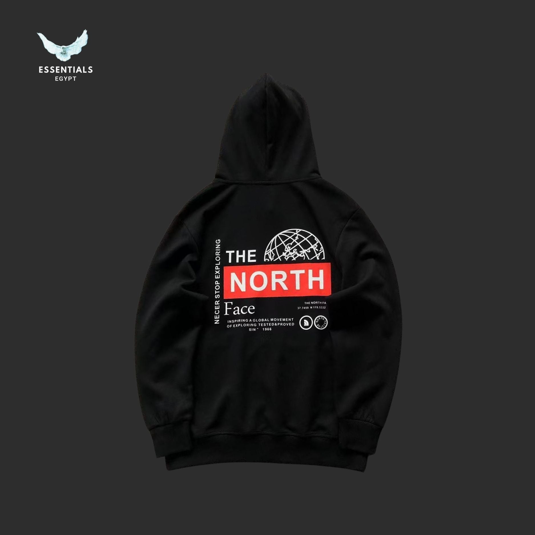 TNF HOODIE 218050901 - ESSENTIALS EGYPT